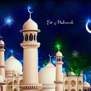 Meet your Posher, Nasima